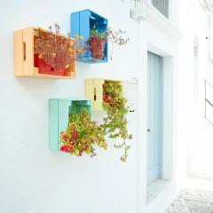 Exclusive Apartments