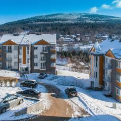 Apartamenty Izerskie - ul. Cicha 13D-E