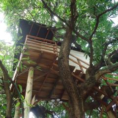 Casa na Árvore