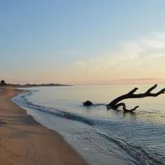 Village Del Mar