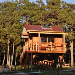 Cabane des Guernazelles