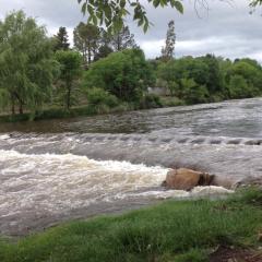 Cabañas el Gauchito