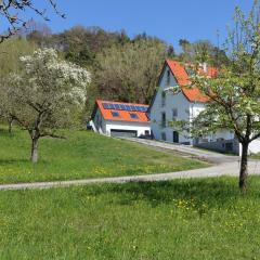 Ferienwohnung Süßenmühle