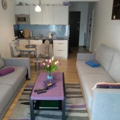 Apartament Morskie Polanki