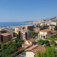 The blue house, lovely apartment in the Côte d'Azur for 6 people
