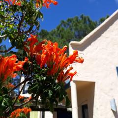 Chalets del Bosque