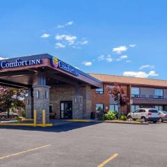 コンフォート イン セイント キャサリンズ ナイアガラ（Comfort Inn St. Catharines Niagara）