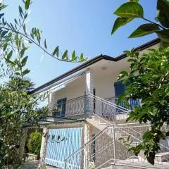 Apartment Nino Savudrija
