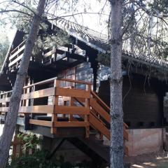 Cañon del río Lobos-La cabaña de Ton
