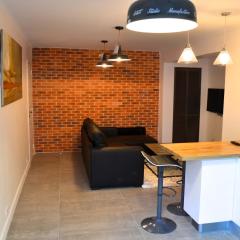 Wood & Bricks, appartement 1 chambre au calme - centre ville - Wifi