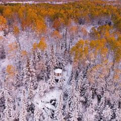 Les Racines du p'tit Isidore