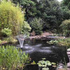 Cosy Studio met Zwembad