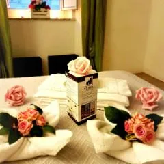 Nerva Accommodation