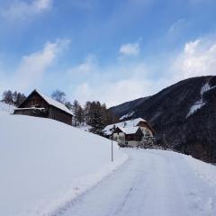 Ferienwohnung Biohof Laußnitzer in Rennweg