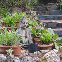 Casa Montseny con piscina,bosque