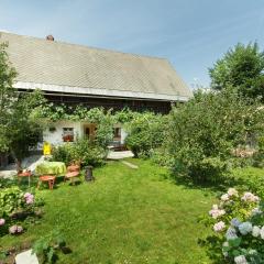 House, Garden and a Green Cat