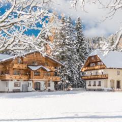MEINE HEIMAT - Apartments in Ramsau bei Schladming - Skigebiet AMADE