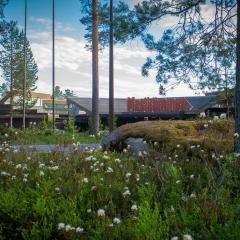 Hotel Mesikämmen