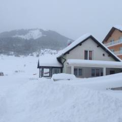 Apartments Herc