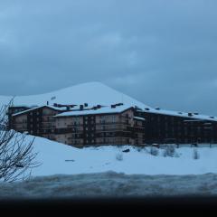 Royal's apartment gudauri