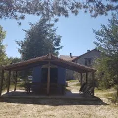 La Cicuarala