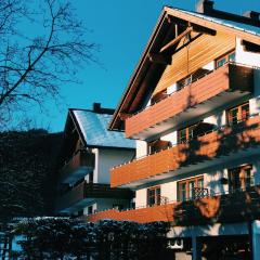 Dachstein view ski apartment