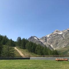 Cervinia Ski In Ski Out - Studio on the slopes