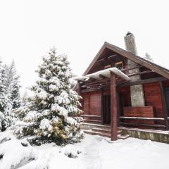 Cabane- Vila Crinul si Teodor Poiana Brasov