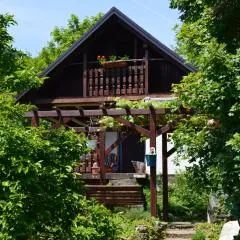 Na Okić - a private forest oasis