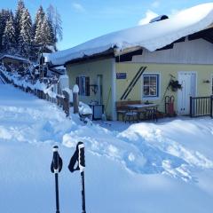 Ferienhaus Niedernsill