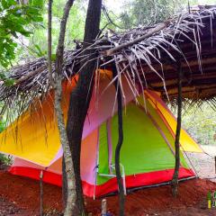 Sigiri Jungle Camping