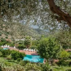 Azienda Agrituristica Bergi