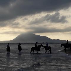 Oliva playa a 2 minutos junto a instalaciones hipicas MET