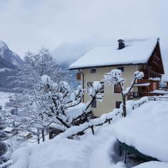 Appartementhaus Gastein / Haus Sammie