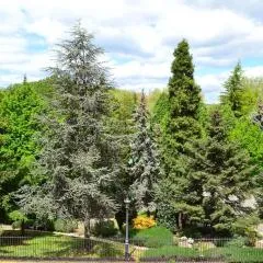 Apartamento en Avenida Quevedo