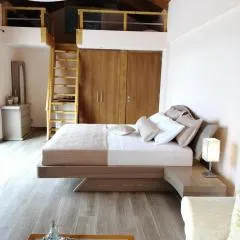 Anasa