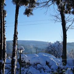 Dom na Przedgórzu-Mountain Apartments