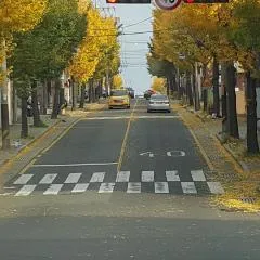 일산해수욕장 대왕암공원 해돋이숙소