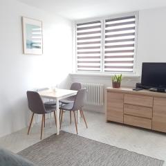 visit baltic - Matejki III