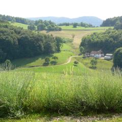 Gîte la Sapinière