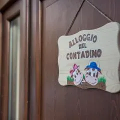 Alloggio del contadino