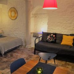 Appartement spacieux avec une vue sur Tours ( 38m²) -Gite de Bellevue