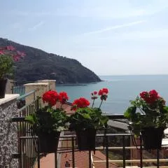Partenope