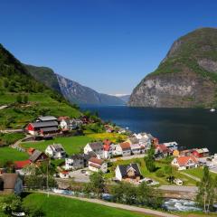 Visit Undredal