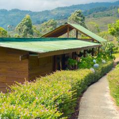 Ecolodge Rain