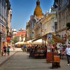Regim Hotelier Pietonală