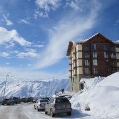 New Gudauri Apartment 543
