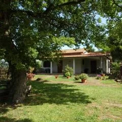 Agriturismo San Vincenzo