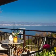 The Terrace