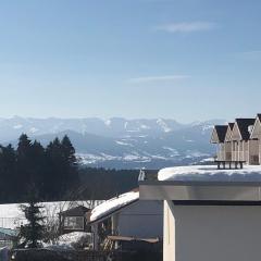 Appartement Allgäu-Sonne mit Sauna und Pool